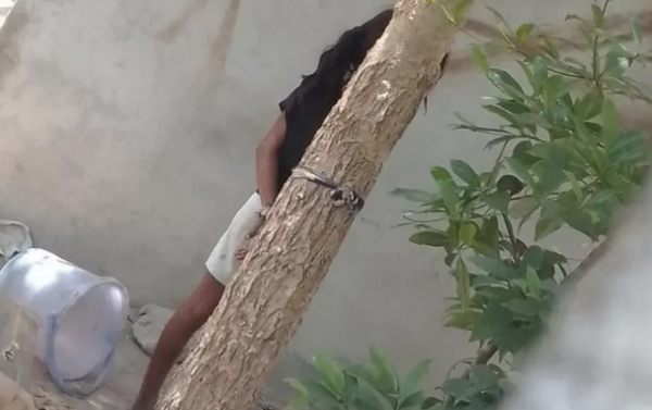 8 އަހަރުގެ ކުއްޖަކު ގަހެއްގައި ބަނދެފައި ބެހެއްޓި މައްސަލައެއް ބަލަނީ