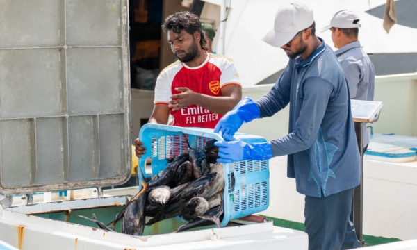 ބޮޑުކަންނެލި މަސްވެރިކަން ހިމެނޭހެން މަސްވެރިންނަށް 1.7 މިލިއަނަށްވުރެ ގިނަ ރުފިޔާ ދޫކޮށްފި